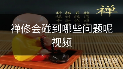 禅修会碰到哪些问题呢视频