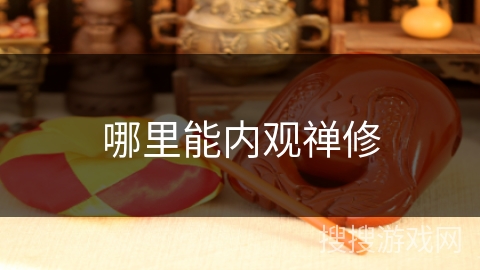 哪里能内观禅修 哪里能内观禅修