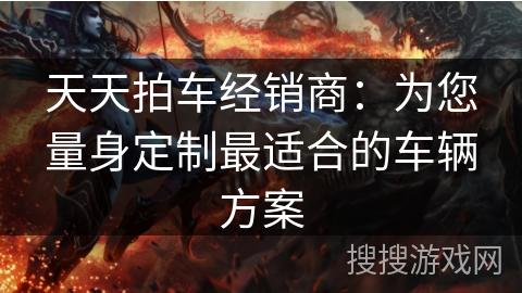 天天拍车经销商：为您量身定制最适合的车辆方案