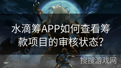 水滴筹APP如何查看筹款项目的审核状态？