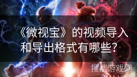 《微视宝》的视频导入和导出格式有哪些？