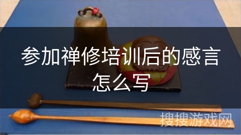 参加禅修培训后的感言怎么写