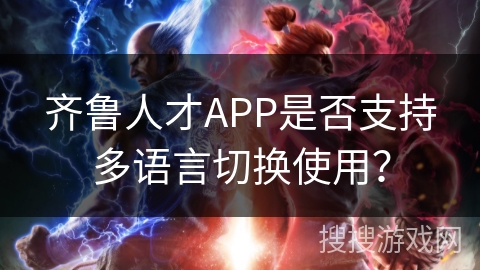 齐鲁人才APP是否支持多语言切换使用？