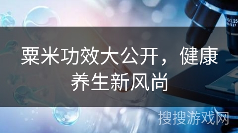 粟米功效大公开,健康养生新风尚