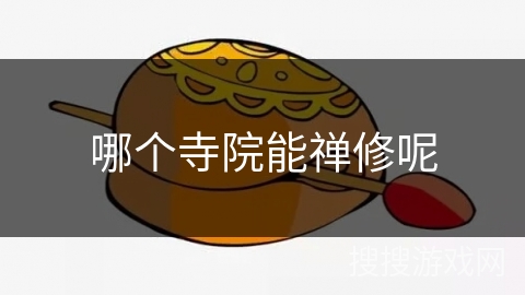 哪个寺院能禅修呢 哪个寺院能禅修呢