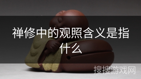 禅修中的观照含义是指什么 禅修中的观照含义是指什么