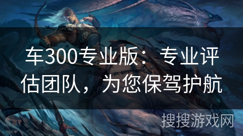 车300专业版:专业评估团队,为您保驾护航 车300专业版:专业评估团队,为您保驾护航