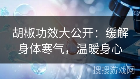 胡椒功效大公开:缓解身体寒气,温暖身心