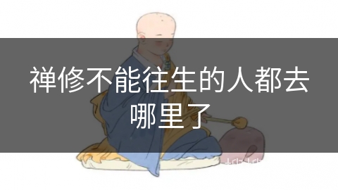 禅修不能往生的人都去哪里了 禅修不能往生的人都去哪里了
