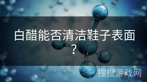 白醋能否清洁鞋子表面?