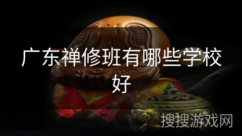 广东禅修班有哪些学校好 广东禅修班有哪些学校好