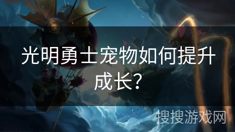 光明勇士宠物如何提升成长? 光明勇士宠物如何提升成长?