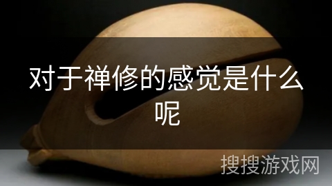对于禅修的感觉是什么呢