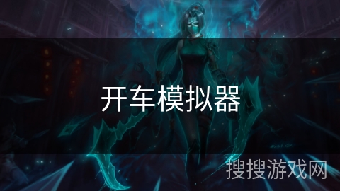 开车模拟器 开车模拟器