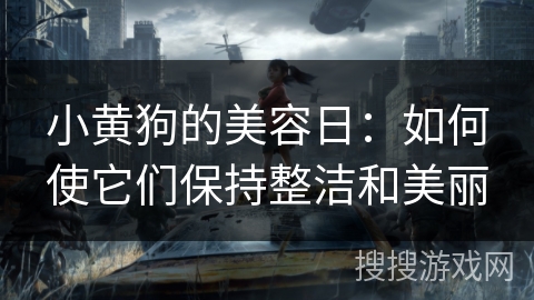 小黄狗的美容日:如何使它们保持整洁和美丽 小黄狗的美容日:如何使它们保持整洁和美丽