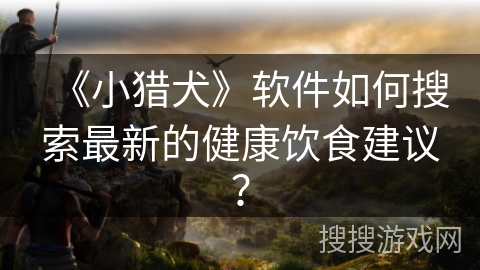 《小猎犬》软件如何搜索最新的健康饮食建议? 《小猎犬》软件如何搜索最新的健康饮食建议?