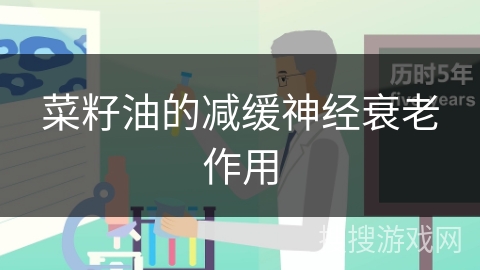 菜籽油的减缓神经衰老作用