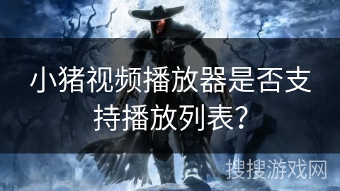 小猪视频播放器是否支持播放列表? 小猪视频播放器是否支持播放列表?