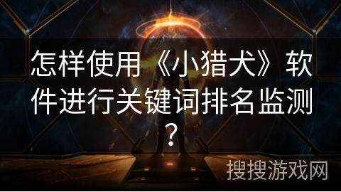 怎样使用《小猎犬》软件进行关键词排名监测？