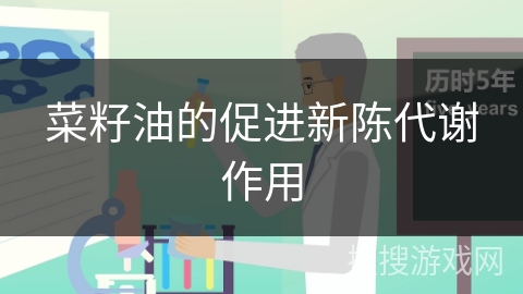菜籽油的促进新陈代谢作用