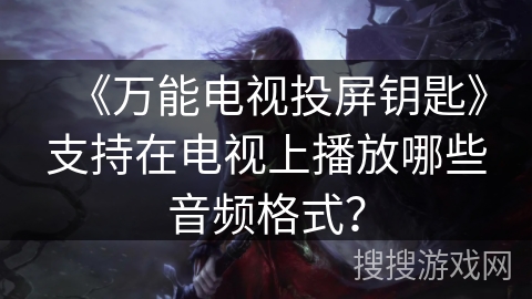 《万能电视投屏钥匙》支持在电视上播放哪些音频格式？