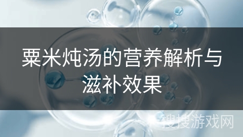 粟米炖汤的营养解析与滋补效果