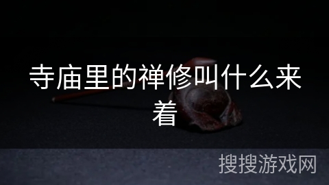 寺庙里的禅修叫什么来着 寺庙里的禅修叫什么来着
