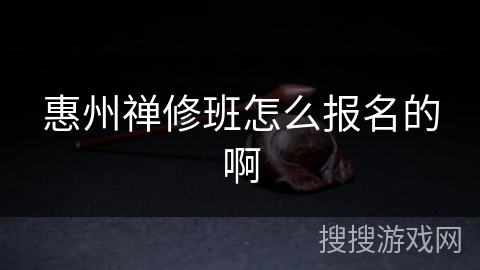 惠州禅修班怎么报名的啊 惠州禅修班怎么报名的啊