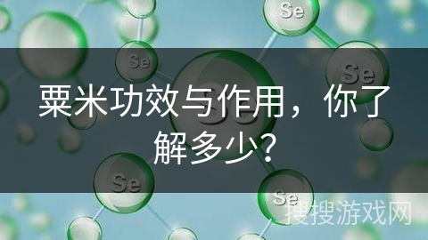 粟米功效与作用,你了解多少?