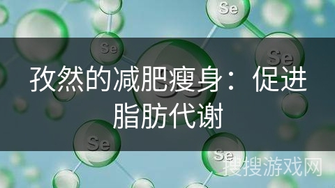 孜然的减肥瘦身:促进脂肪代谢