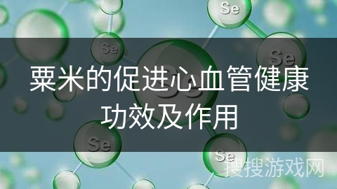 粟米的促进心血管健康功效及作用
