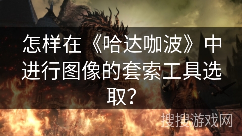 怎样在《哈达咖波》中进行图像的套索工具选取? 怎样在《哈达咖波》中进行图像的套索工具选取?