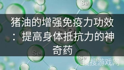 猪油的增强免疫力功效:提高身体抵抗力的神奇药