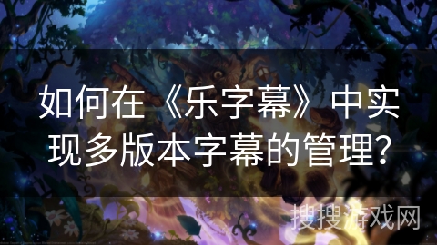 如何在《乐字幕》中实现多版本字幕的管理？
