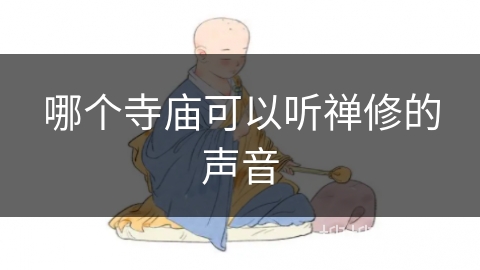 哪个寺庙可以听禅修的声音 哪个寺庙可以听禅修的声音