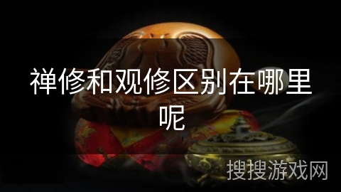 禅修和观修区别在哪里呢 禅修和观修区别在哪里呢