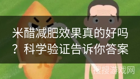 米醋减肥效果真的好吗？科学验证告诉你答案