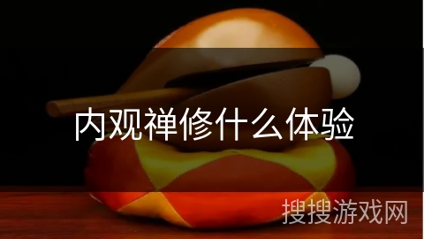 内观禅修什么体验