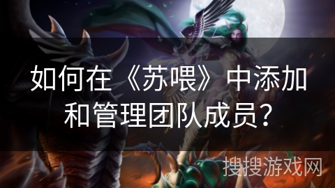 如何在《苏喂》中添加和管理团队成员？