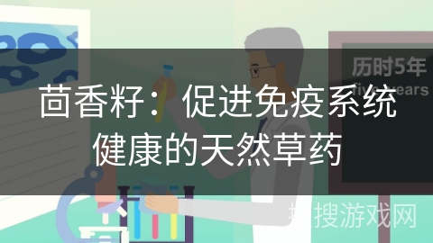 茴香籽:促进免疫系统健康的天然草药 茴香籽:促进免疫系统健康的天然草药