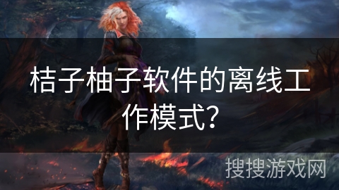 桔子柚子软件的离线工作模式? 桔子柚子软件的离线工作模式?