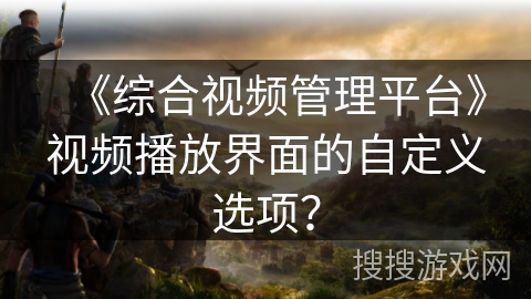 《综合视频管理平台》视频播放界面的自定义选项? 《综合视频管理平台》视频播放界面的自定义选项?