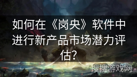 如何在《岗央》软件中进行新产品市场潜力评估？