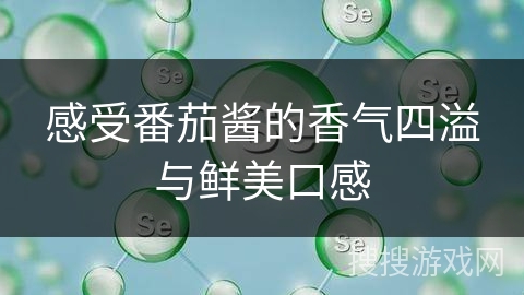 感受番茄酱的香气四溢与鲜美口感