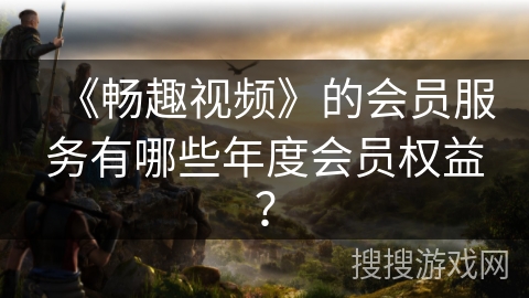 《畅趣视频》的会员服务有哪些年度会员权益？
