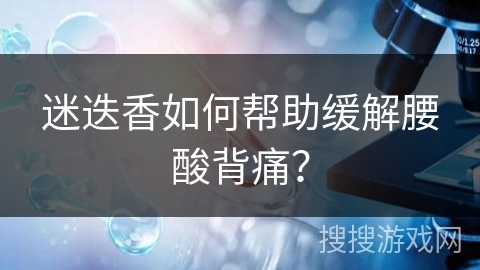迷迭香如何帮助缓解腰酸背痛？