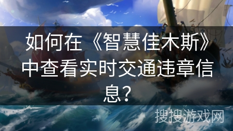 如何在《智慧佳木斯》中查看实时交通违章信息？