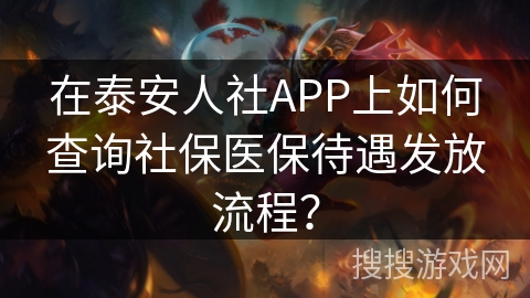 在泰安人社APP上如何查询社保医保待遇发放流程？