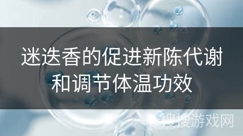 迷迭香的促进新陈代谢和调节体温功效