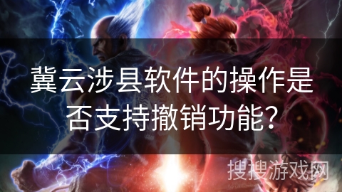 冀云涉县软件的操作是否支持撤销功能？